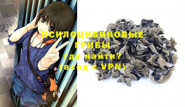 mdpv Горнозаводск