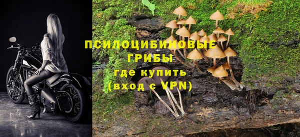mdpv Горнозаводск