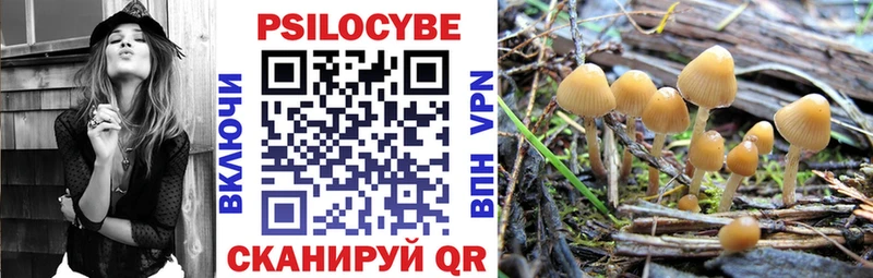дарк нет официальный сайт  Сыктывкар  Псилоцибиновые грибы GOLDEN TEACHER 